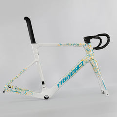 ICAN UCI road bike disc frame A9