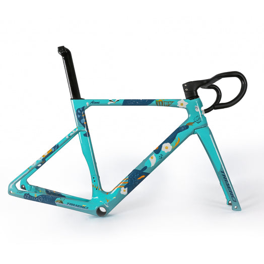 ICAN UCI road bike disc frame A9