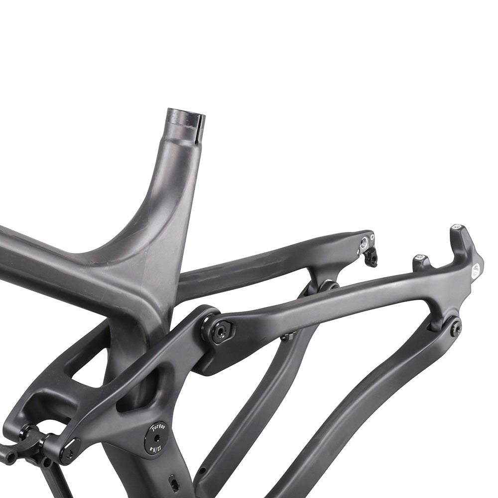 29er Full Suspension Enduro Frame P9